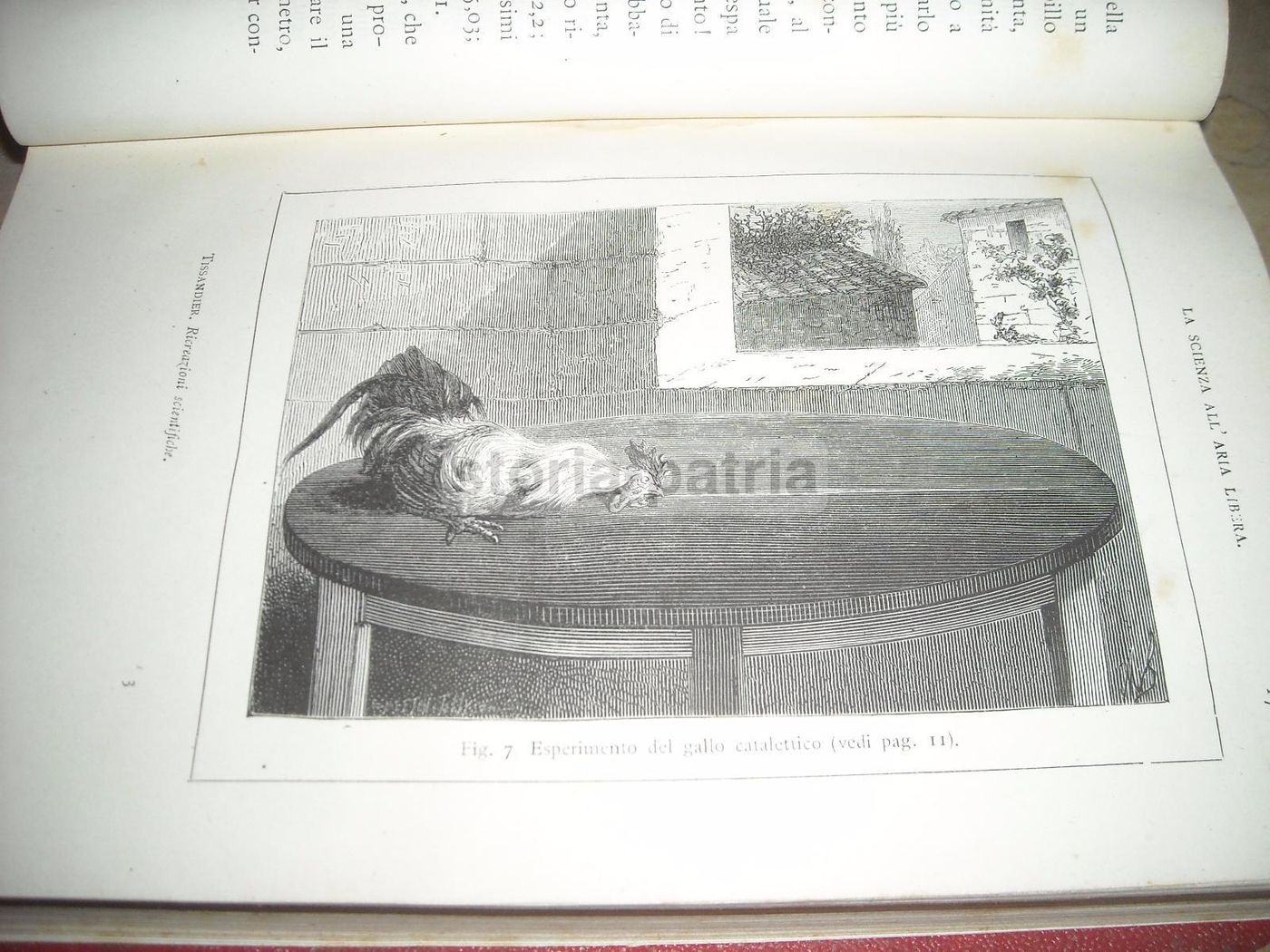 Le Ricreazioni Scientifiche. Insegnamento Coi Giuochi Di Gastone Tissandier, Treves, 1882
