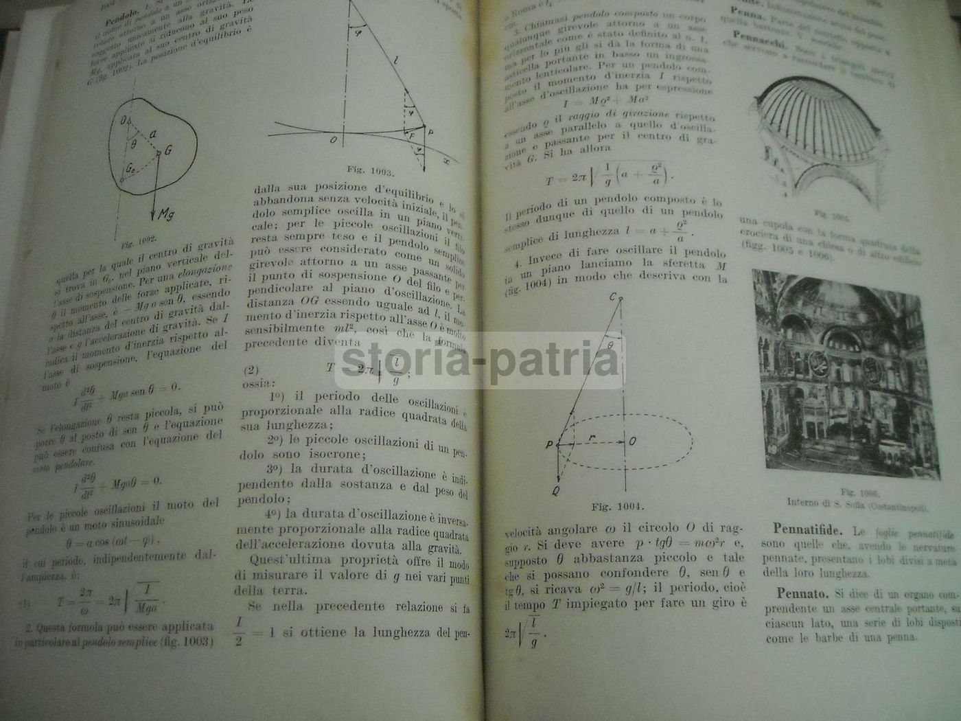 Dizionario Illustrato Delle Scienze Pure E Applicate, Hoepli 1935 1938