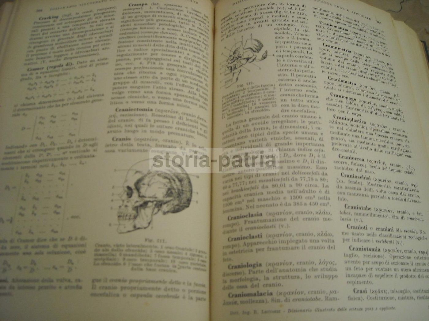Dizionario Illustrato Delle Scienze Pure E Applicate, Hoepli 1935 1938