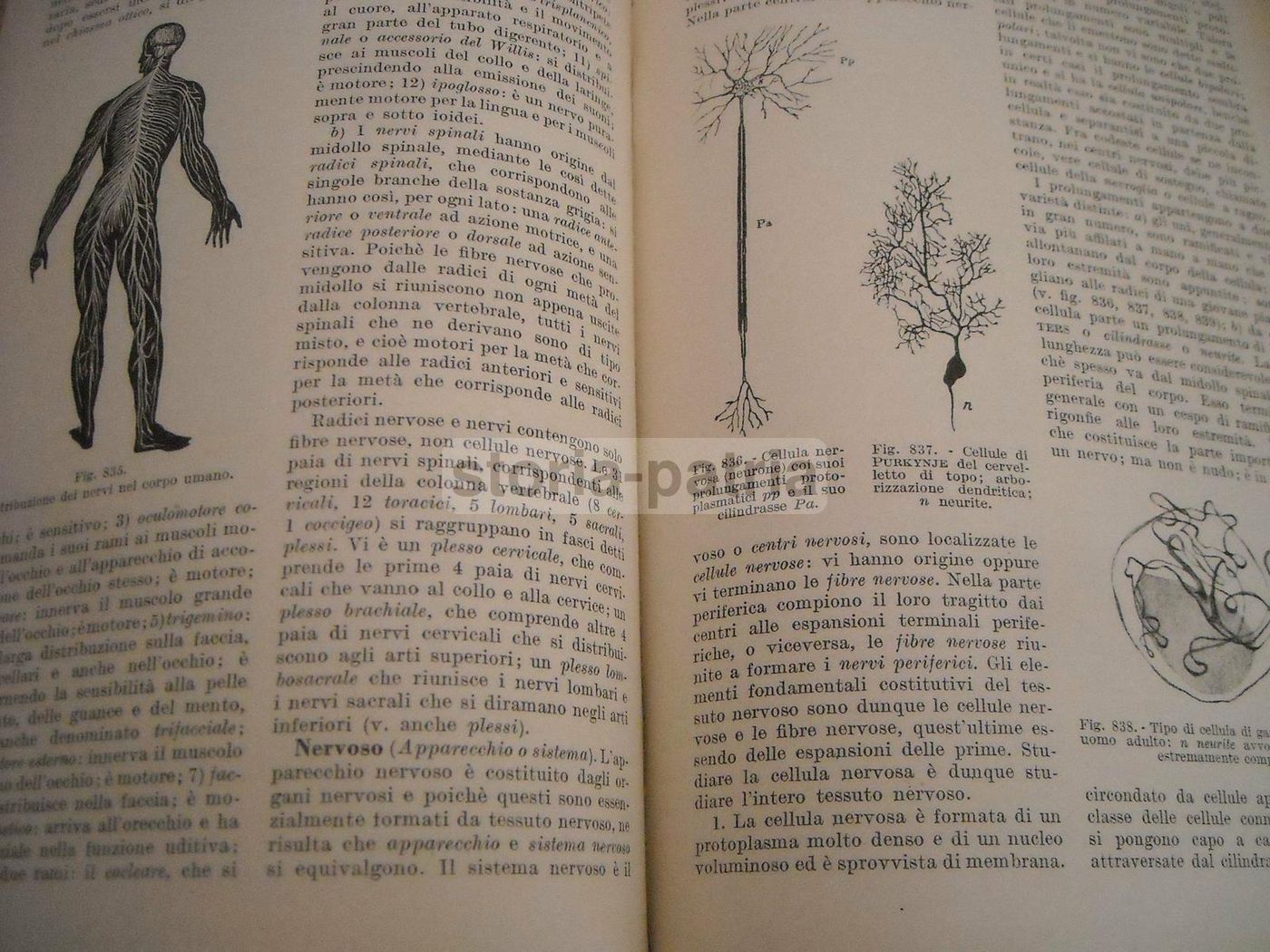 Dizionario Illustrato Delle Scienze Pure E Applicate, Hoepli 1935 1938