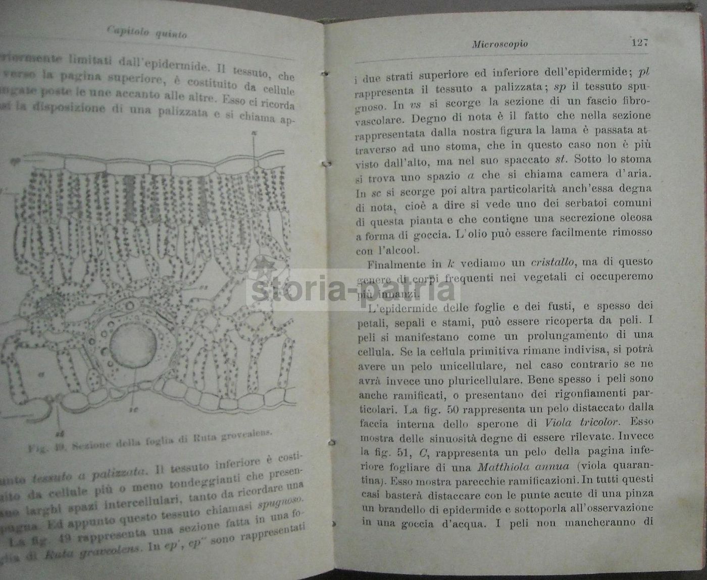 Il Microscopio   Camillo Acqua (1907)   Manuale Hoepli