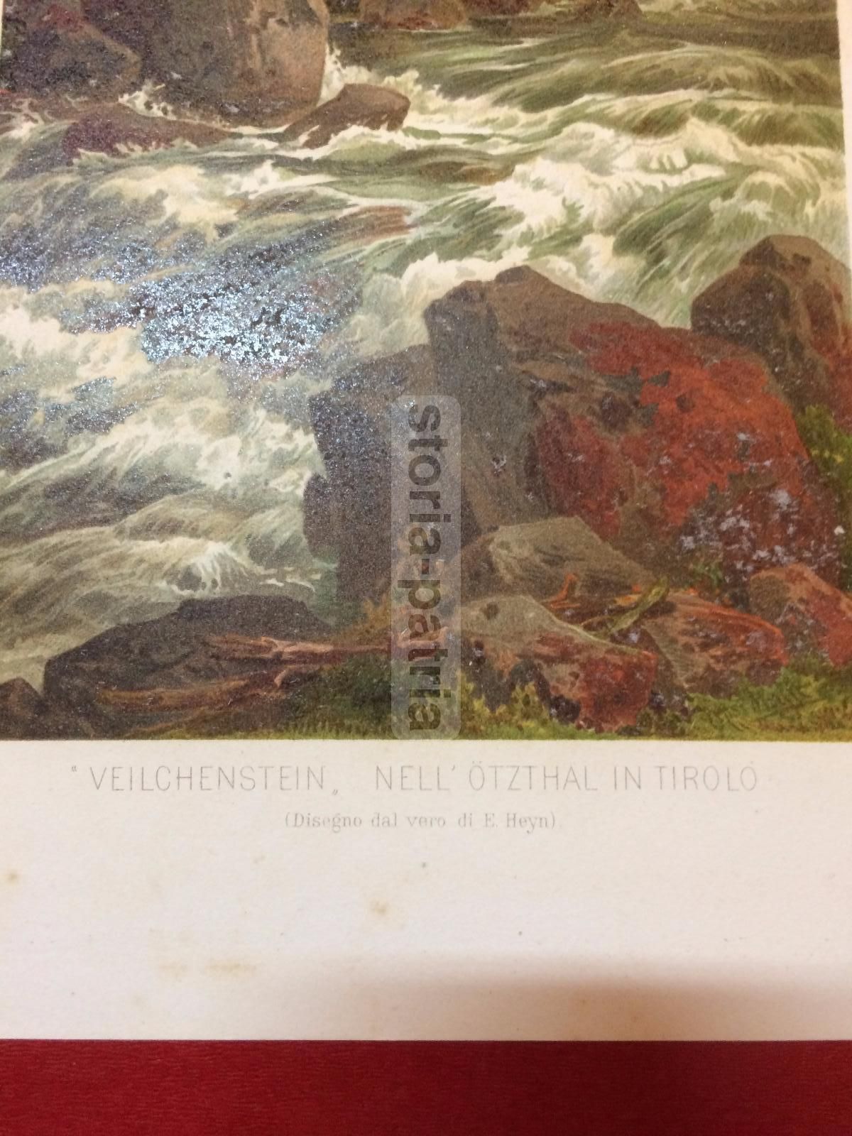 Stampa Botanica Antica Tirolo Otzthal Veilchenstein Cromolitografia