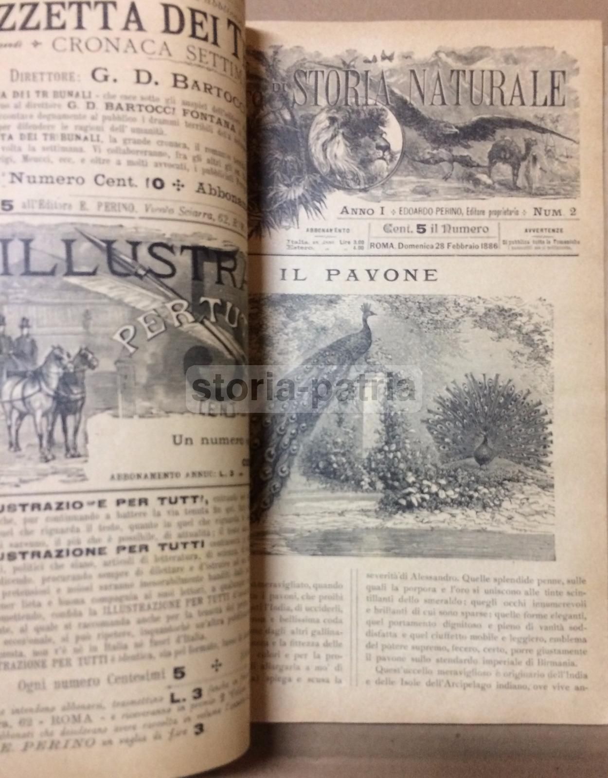 Giornale Illustrato Di Storia Naturale, 1886