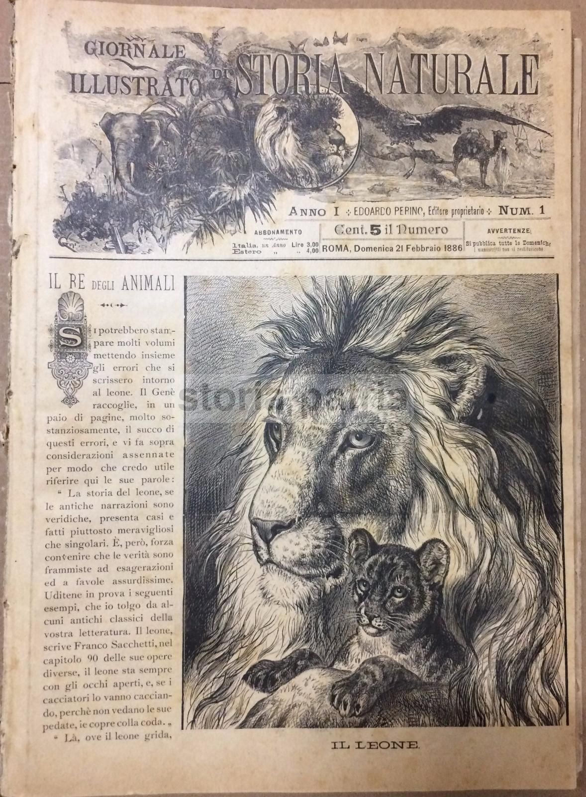 Giornale Illustrato Di Storia Naturale, 1886