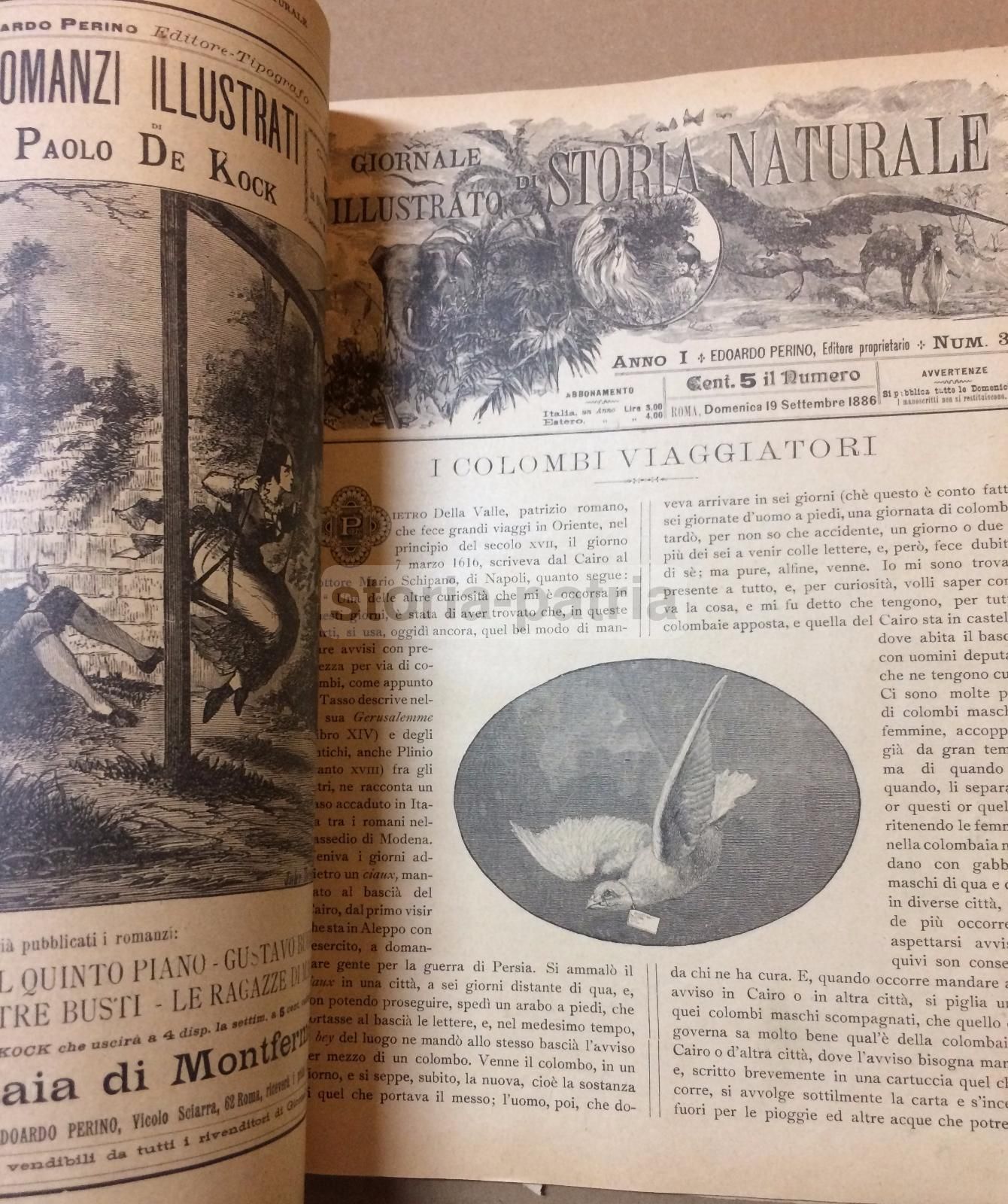 Giornale Illustrato Di Storia Naturale, 1886