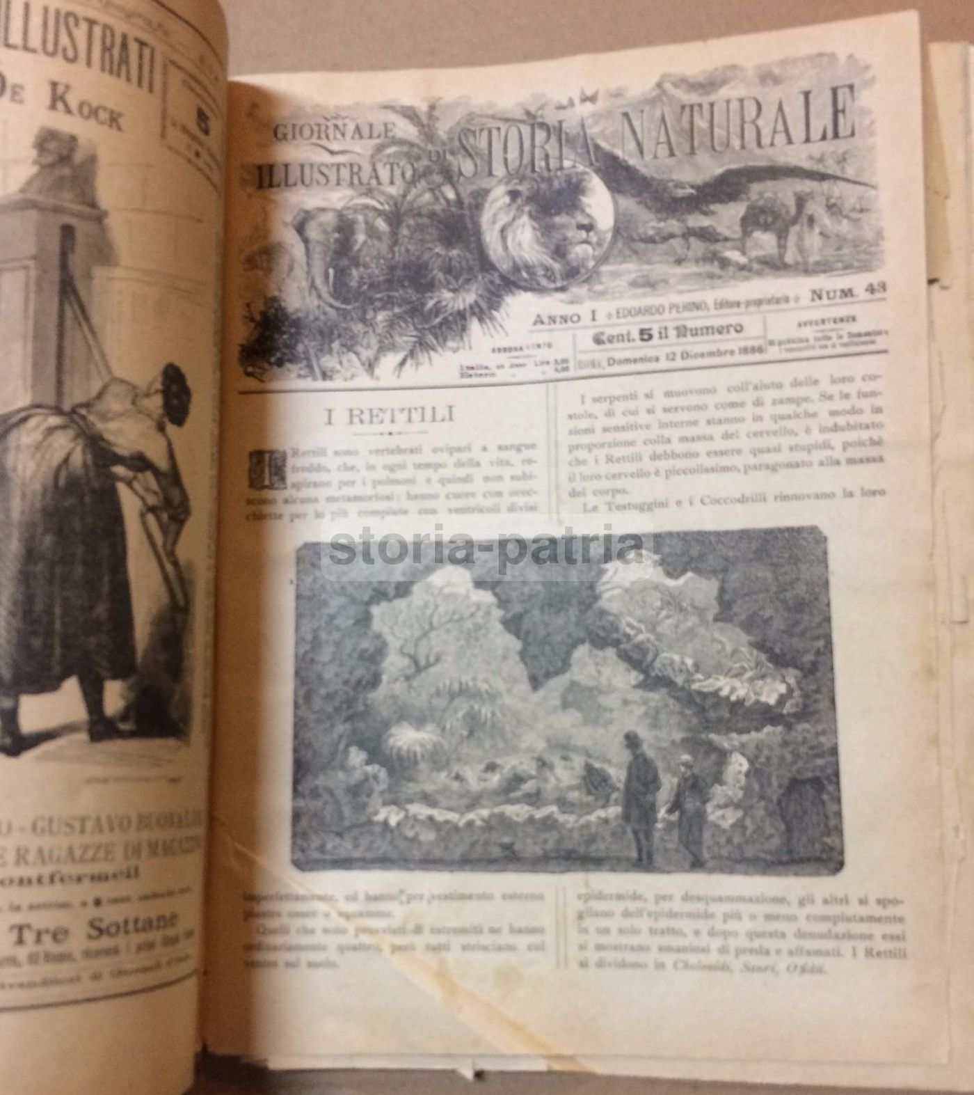 Giornale Illustrato Di Storia Naturale, 1886