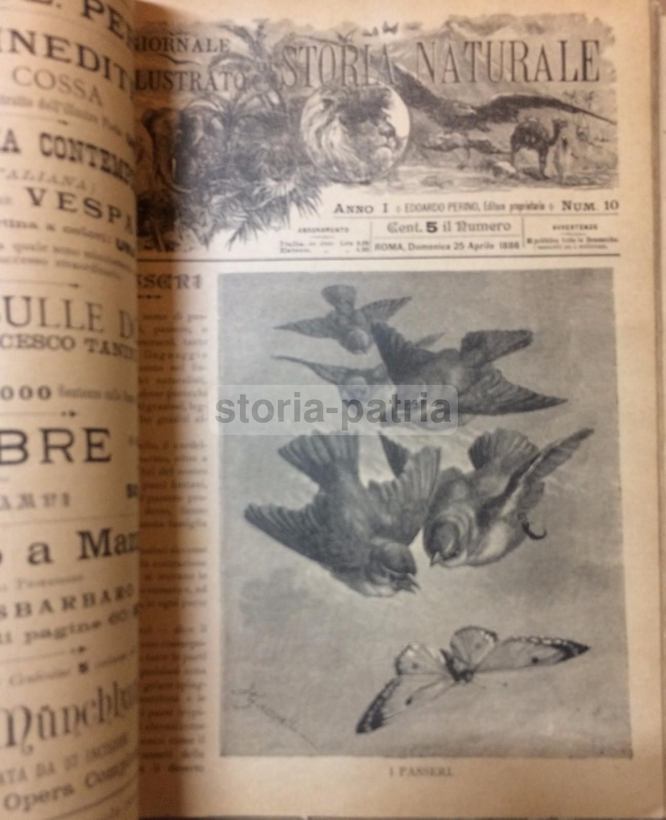 Giornale Illustrato Di Storia Naturale, 1886