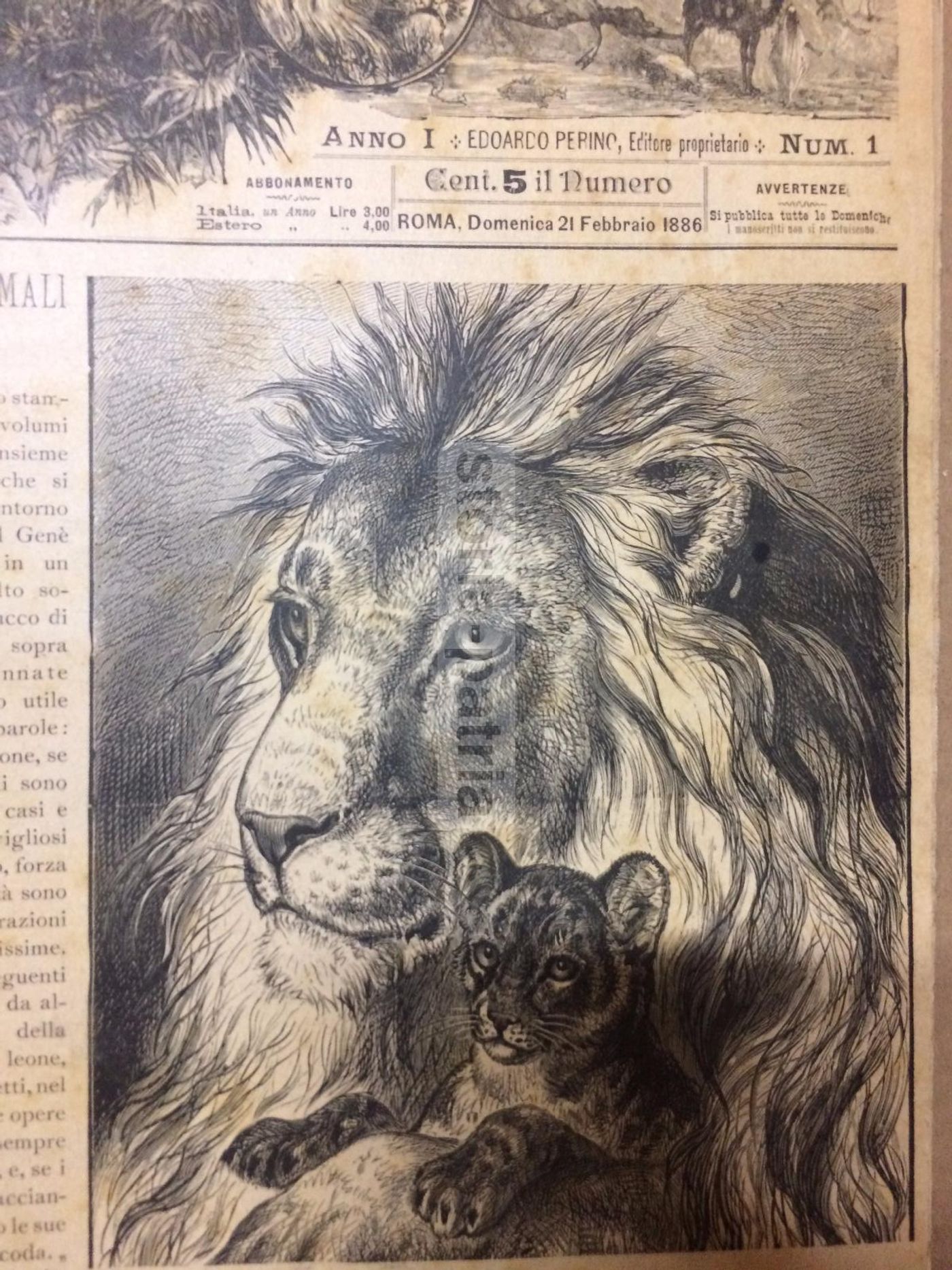Giornale Illustrato Di Storia Naturale, 1886