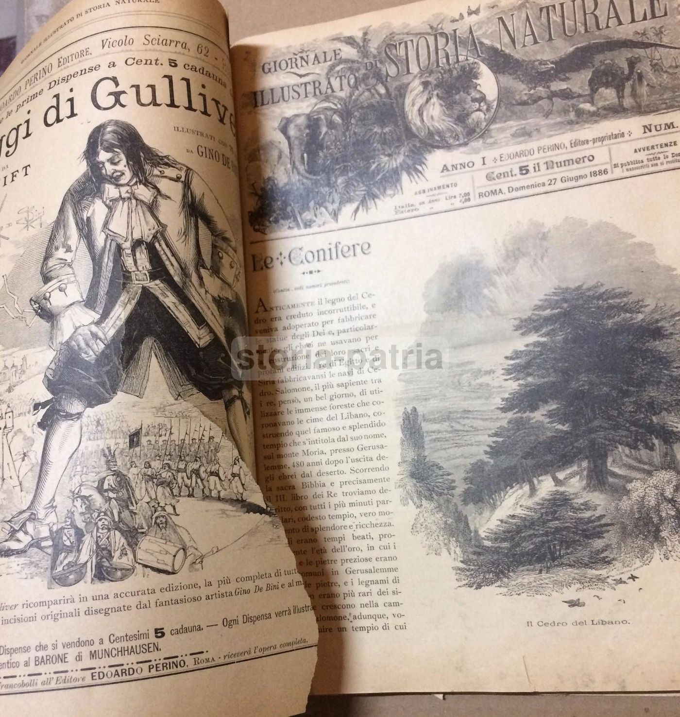 Giornale Illustrato Di Storia Naturale, 1886