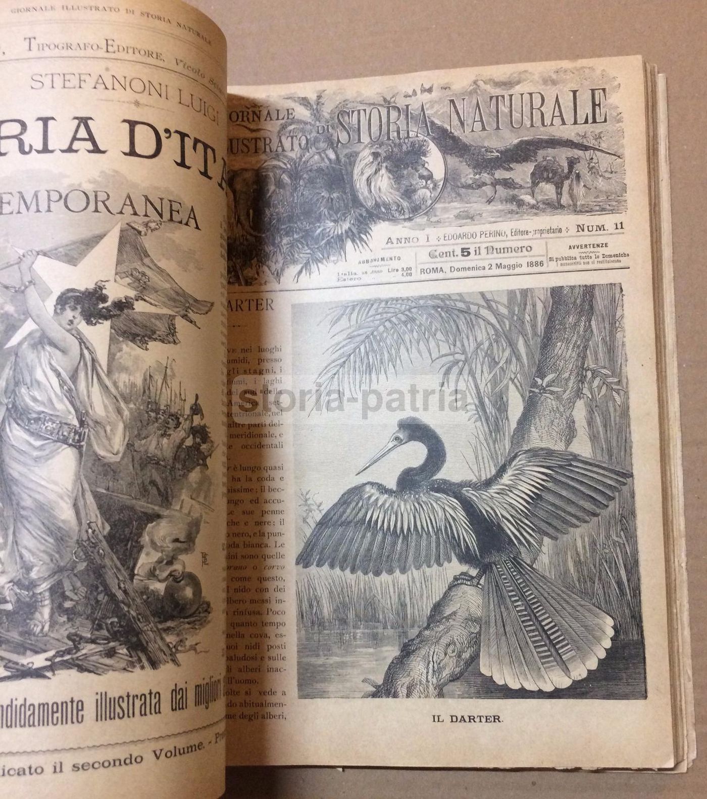 Giornale Illustrato Di Storia Naturale, 1886