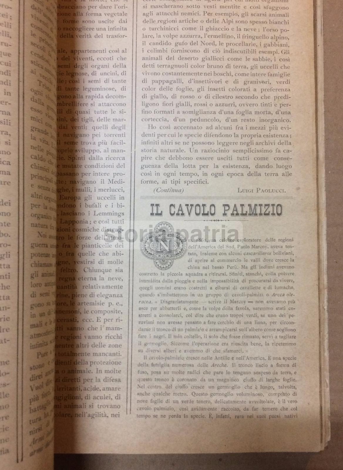 Giornale Illustrato Di Storia Naturale, 1886