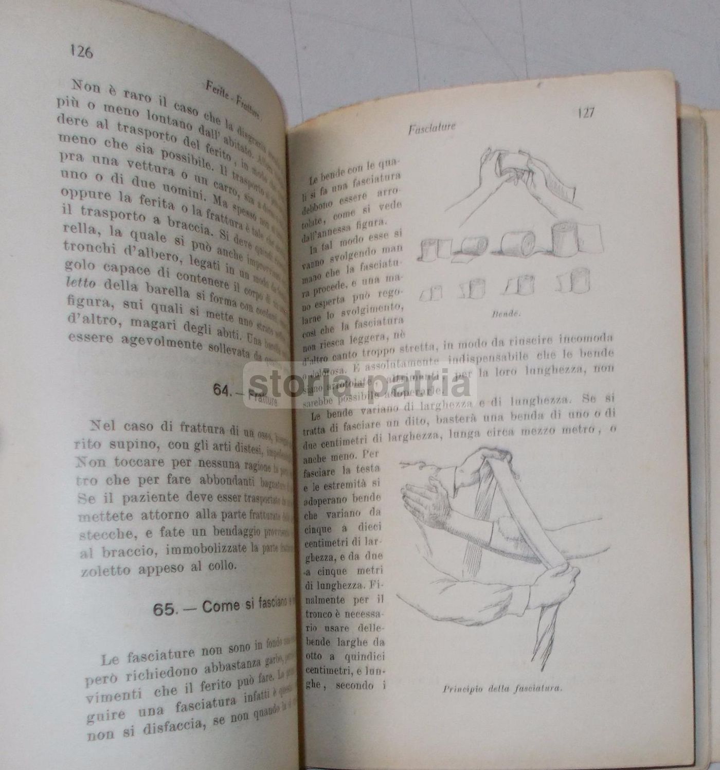 Verso La Scienza Di Giacomo Lo Forte, Sandron