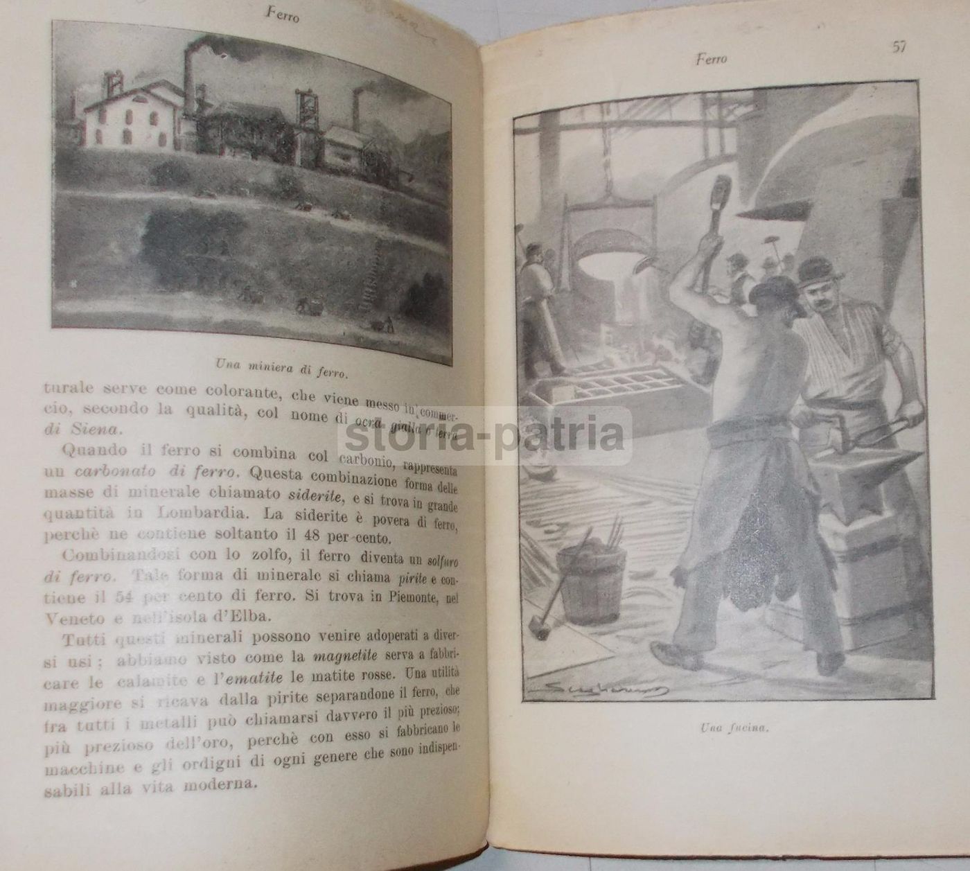 Verso La Scienza Di Giacomo Lo Forte, Sandron