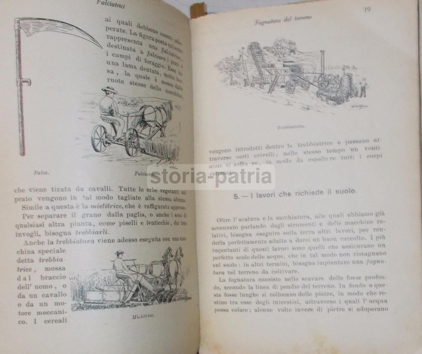 Verso La Scienza Di Giacomo Lo Forte, Sandron