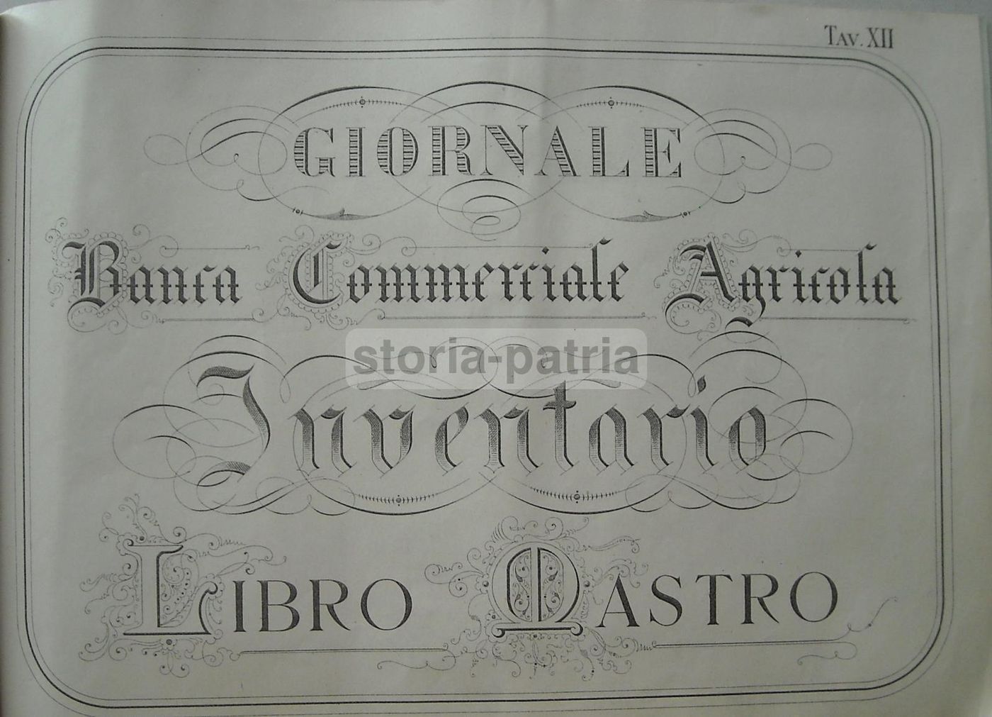 Libro Mastro Banca Commerciale Agricola: Facsimile E Calligrafia, 1900