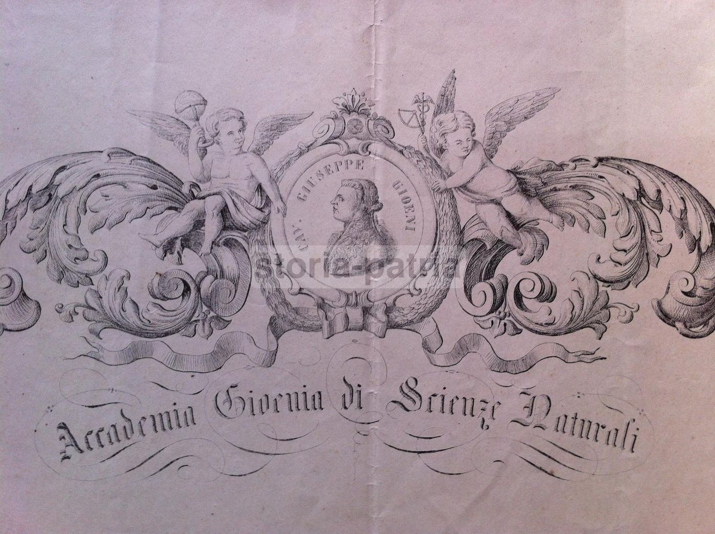 Diploma Accademia Gioenia Catania 1873 Scienze Naturali Sicilia