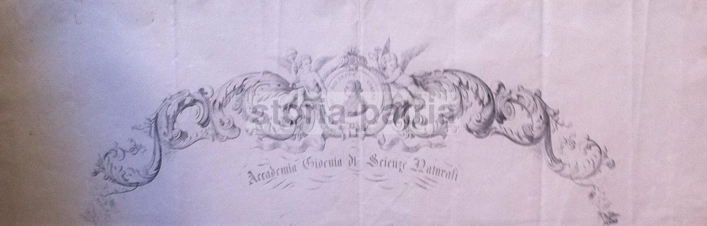 Diploma Accademia Gioenia Catania 1873 Scienze Naturali Sicilia
