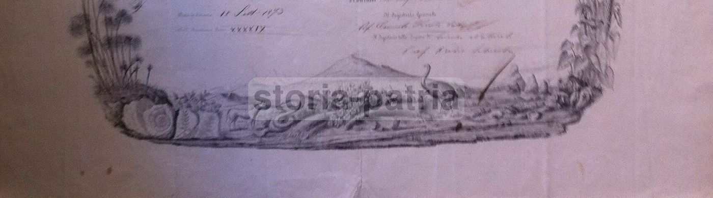 Diploma Accademia Gioenia Catania 1873 Scienze Naturali Sicilia