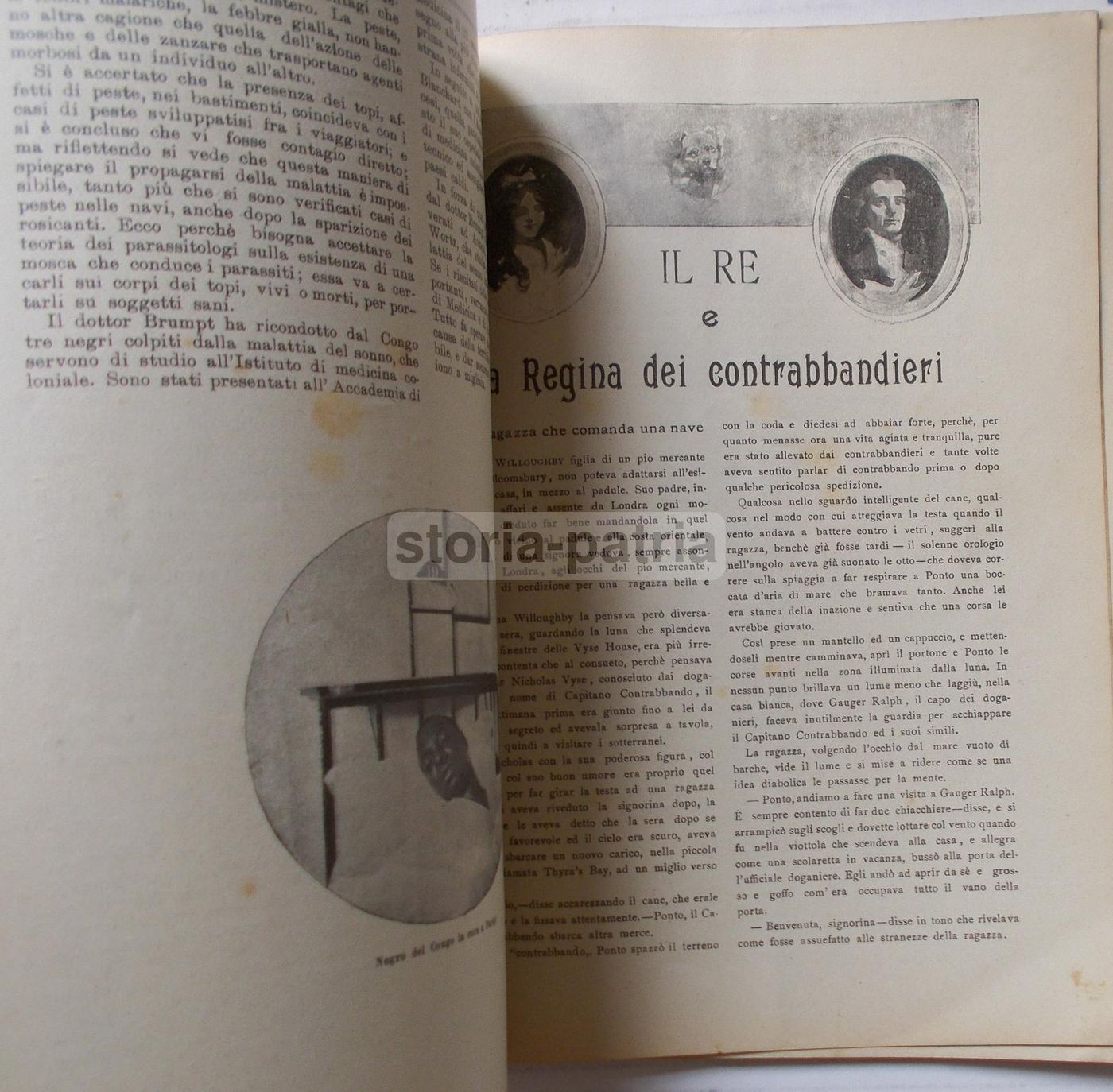 Psiche Rivista Siciliana 1904: Medicina, Viaggi, Africa, Corea E Pellicce
