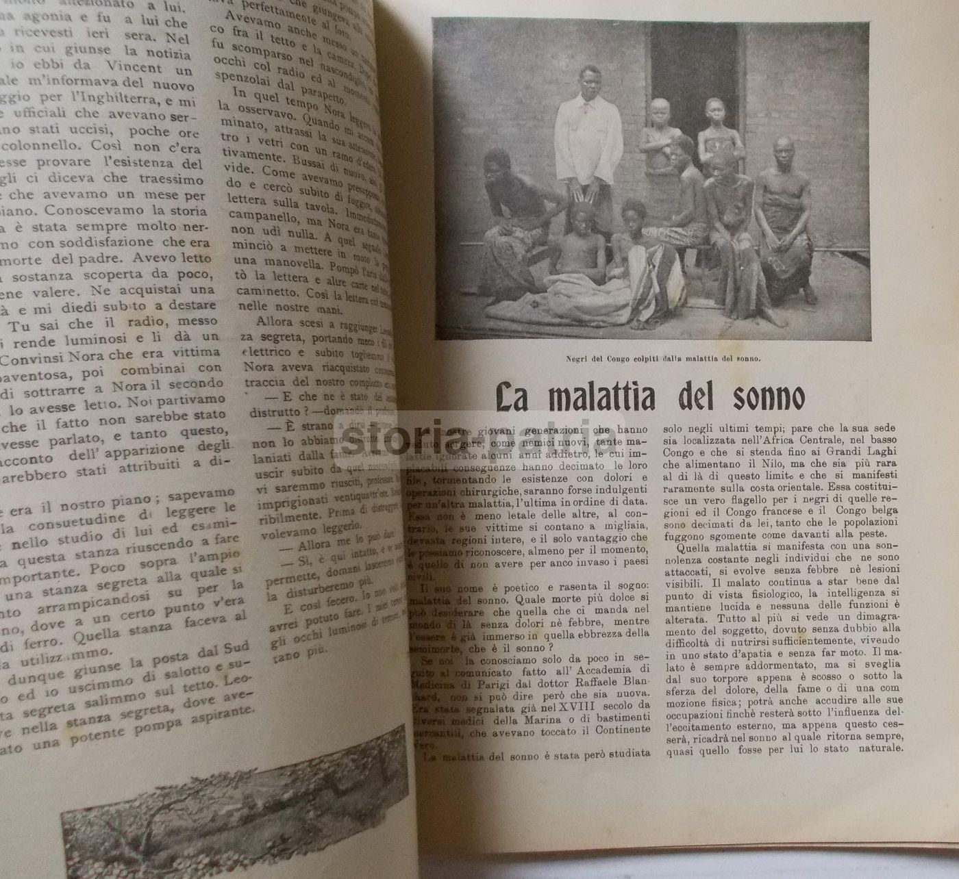 Psiche Rivista Siciliana 1904: Medicina, Viaggi, Africa, Corea E Pellicce