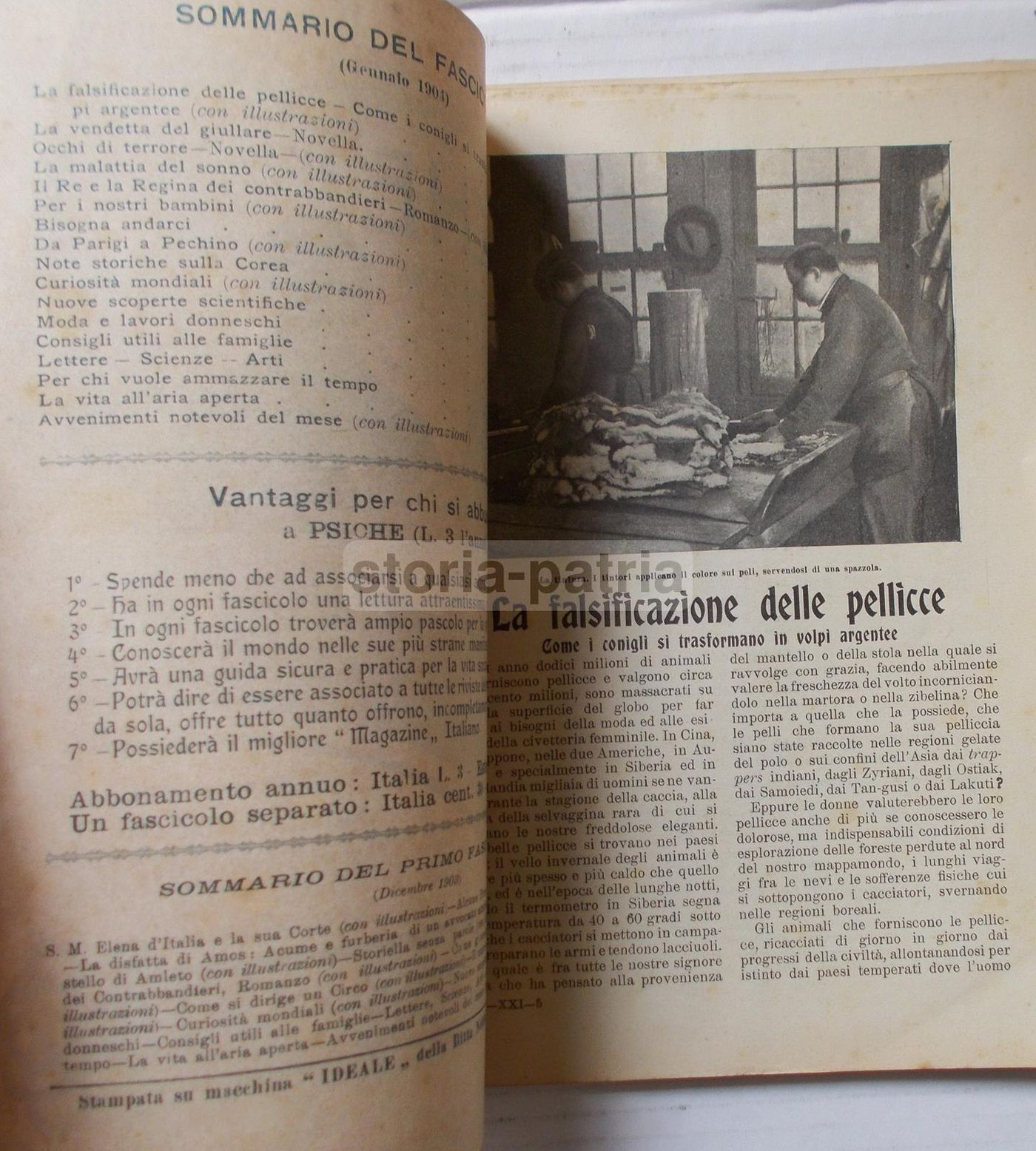 Psiche Rivista Siciliana 1904: Medicina, Viaggi, Africa, Corea E Pellicce