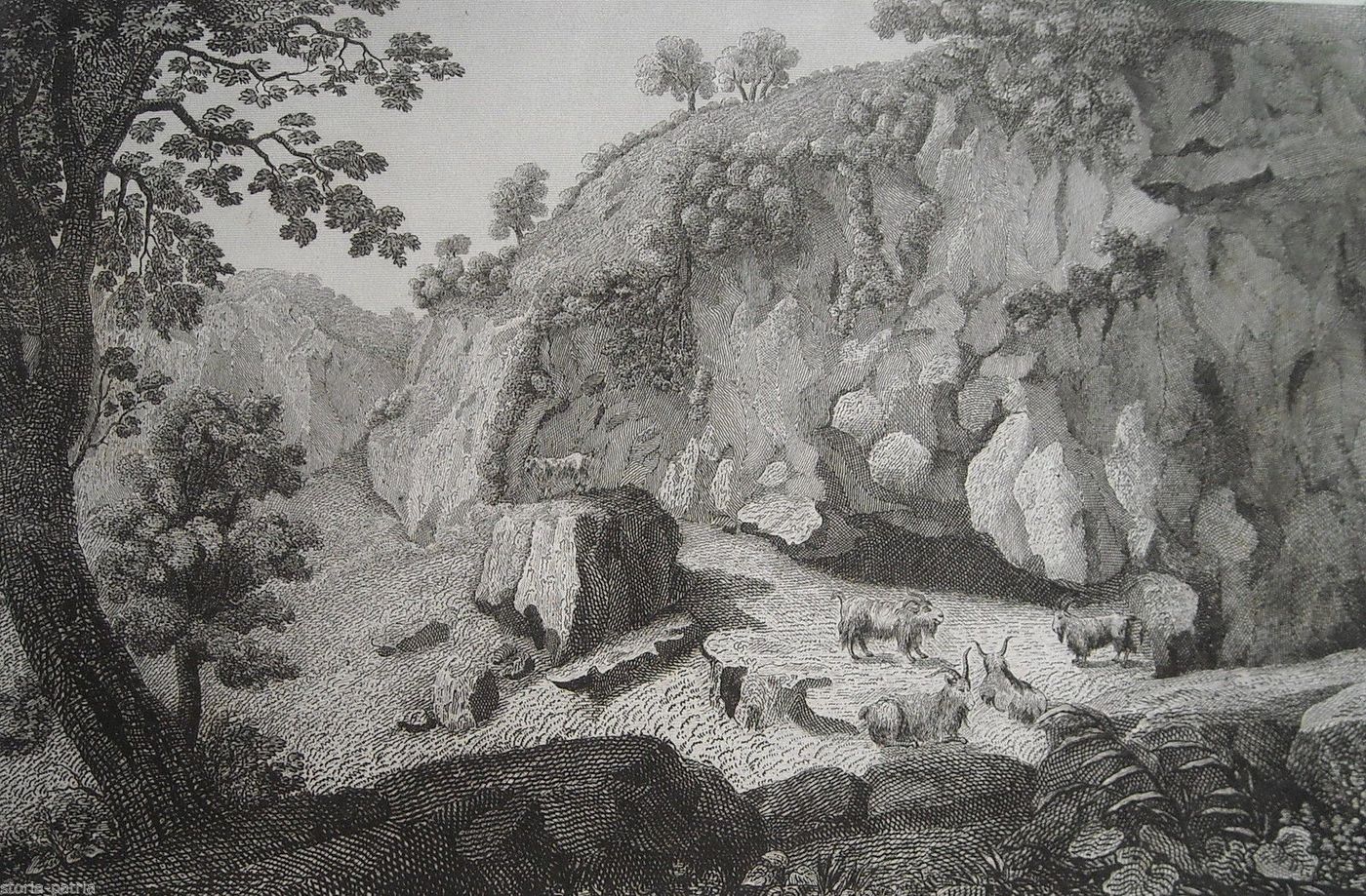 Stampa Antica Grotta Delle Capre, Fontebello, Sicilia, 1850, Manzoni