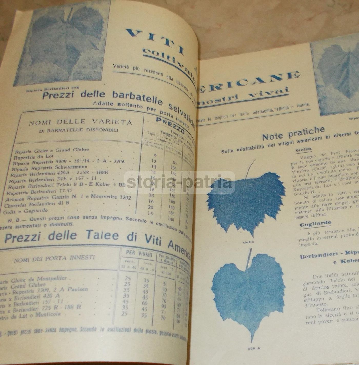 Catalogo Viti E Agrumi Antonino Italiano, Milazzo 1935 1936