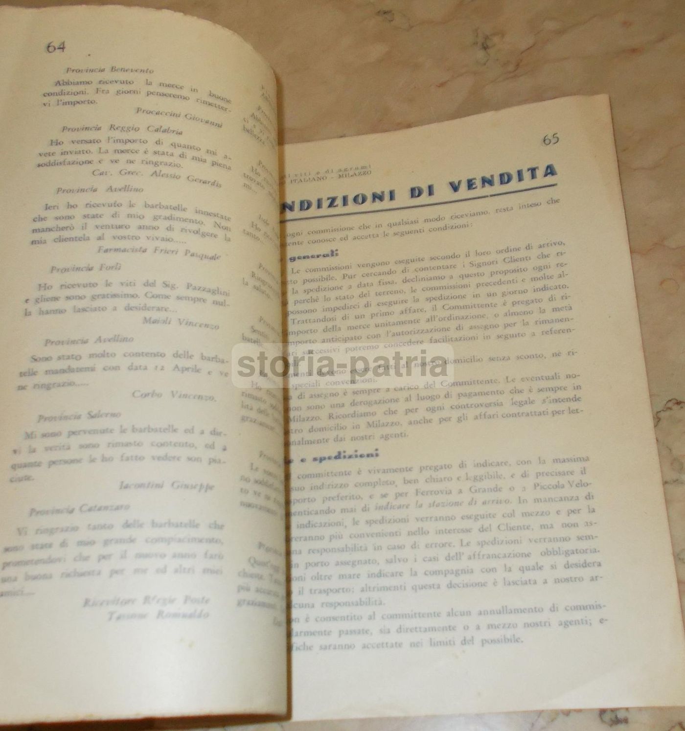 Catalogo Viti E Agrumi Antonino Italiano, Milazzo 1935 1936