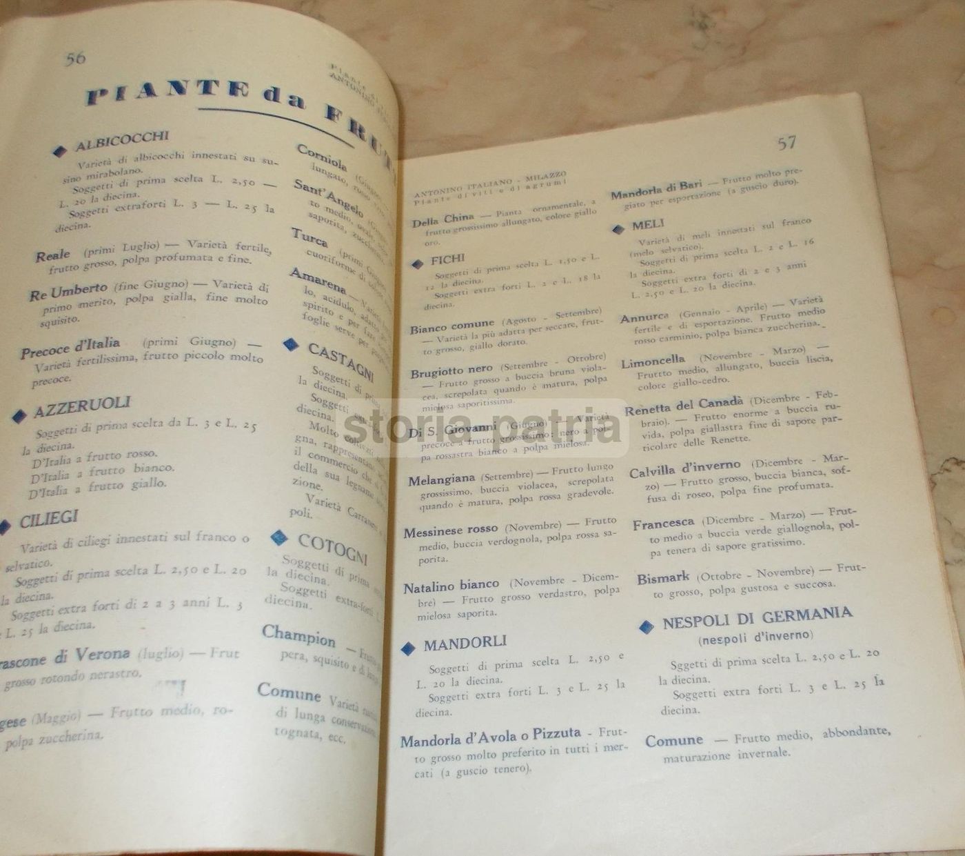 Catalogo Viti E Agrumi Antonino Italiano, Milazzo 1935 1936