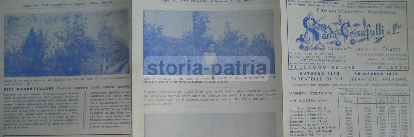 Listino Prezzi Vivaio Crisafulli, Milazzo 1972. Viti, Agrumi, Olivi