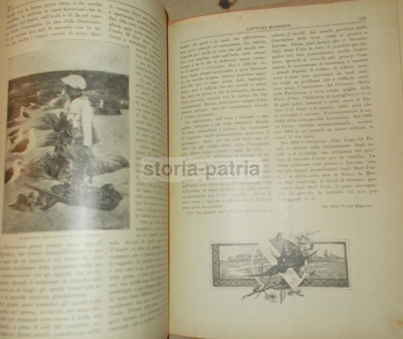 Psiche: Rivista Culturale Siciliana, 1904. Bagheria, Scienze, Moda