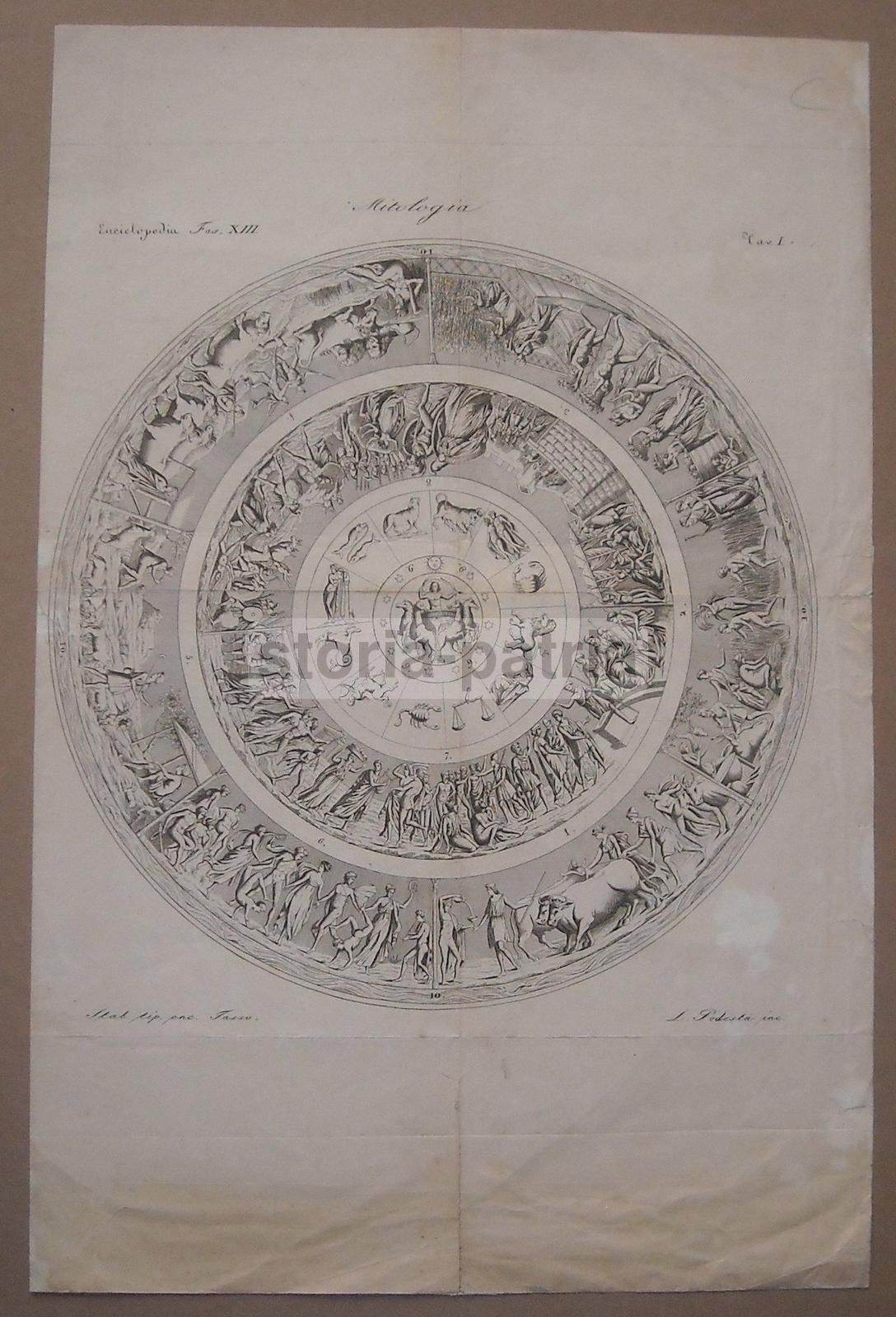 Incisione Antica: Mitologia, Astrologia E Costellazioni Di L. Podestà, 1850 Circa