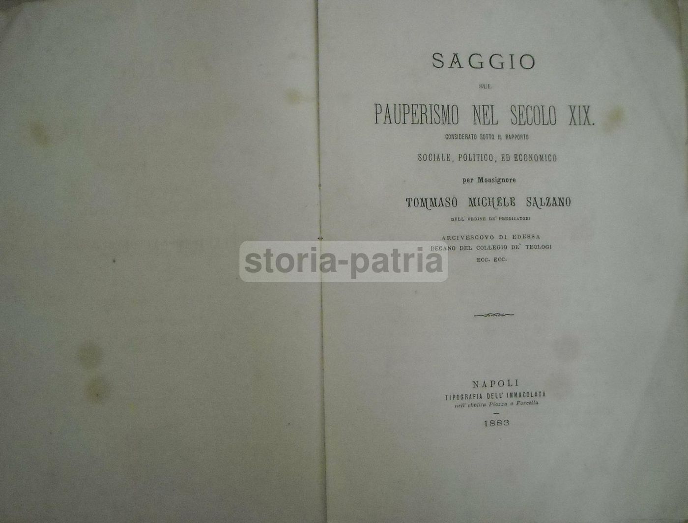 Saggio Sul Pauperismo Nel Secolo XIX, Salzano, 1883, Napoli