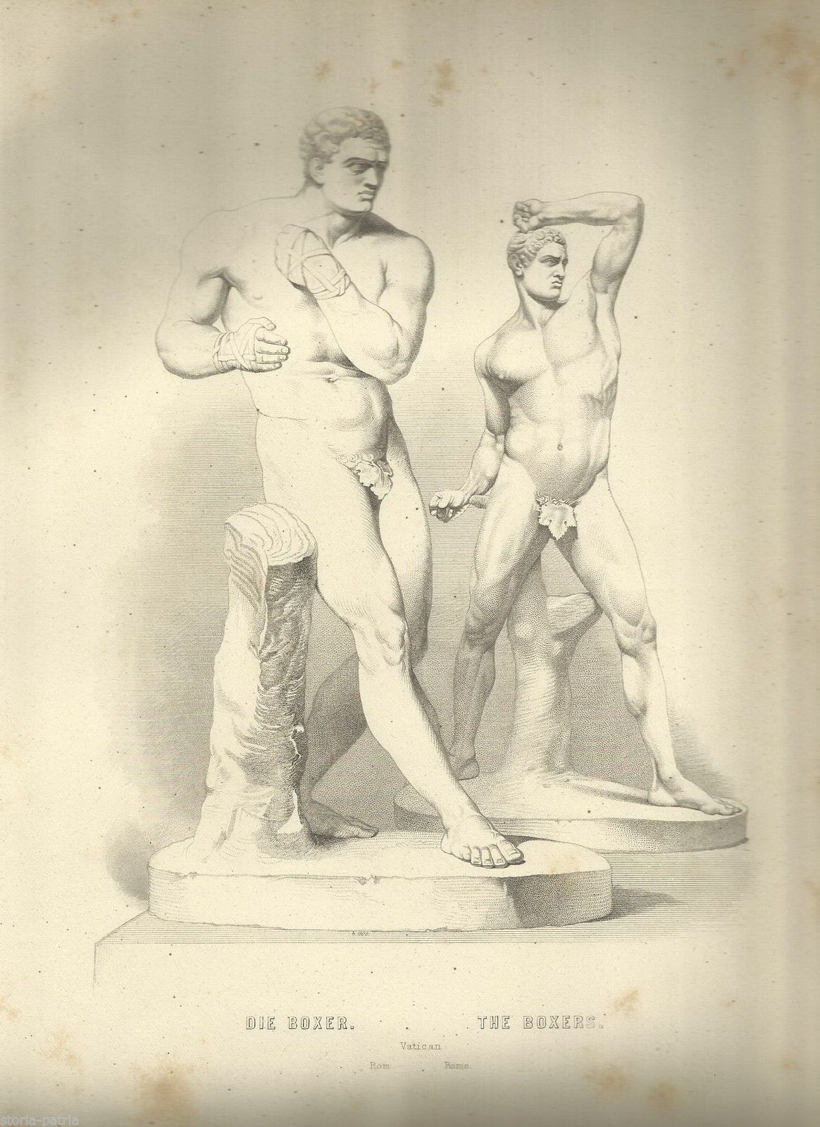 Stampa Antica: Sculture Dei Pugili, Musei Vaticani, Roma (XIX Secolo)