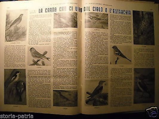 Il Cacciatore Italiano 1938: Rivista Di Caccia E Pesca (annata Completa)