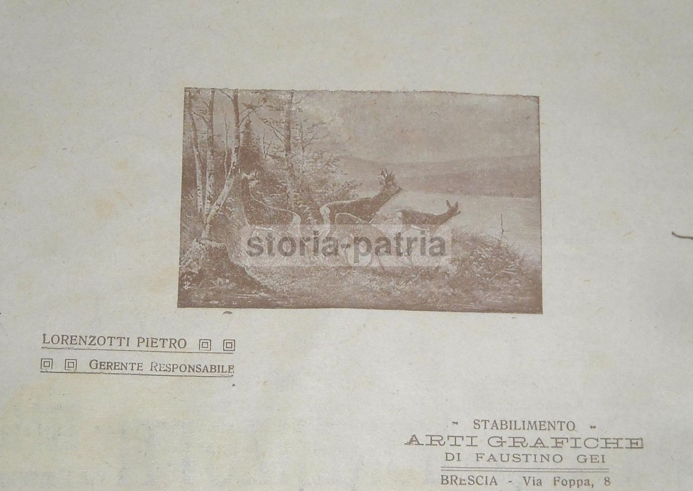 Catalogo Armi Colturi & Lorenzotti Brescia 1910 Fucili Caccia