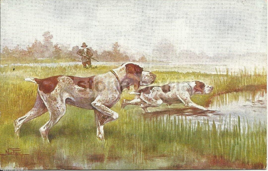 Scena Di Caccia Con Cani E Cacciatore, Cartolina Illustrata Degli Anni 1920 1930