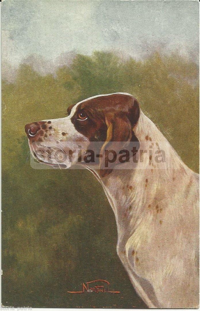 Cartolina Antica Cane Da Caccia (Norfini), Anni '20 '30