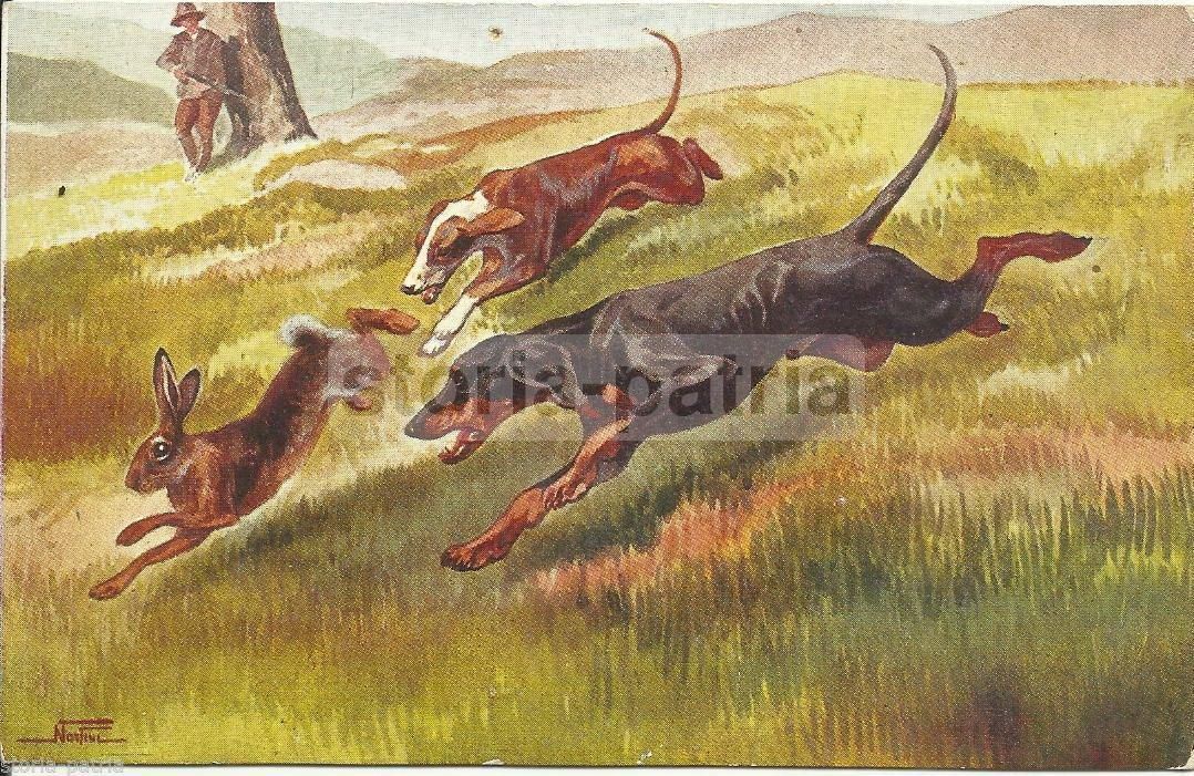 Cartolina Antica: Scena Di Caccia Con Cani E Lepre, Anni '20 '30