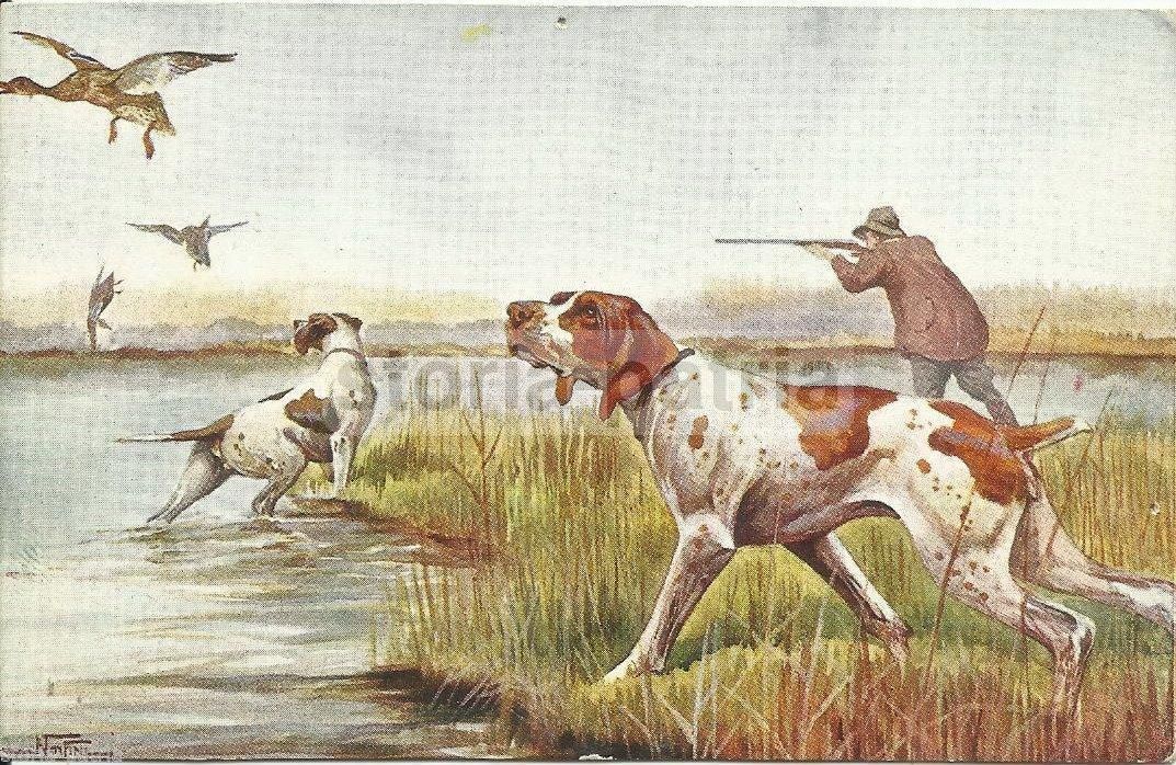 Cartolina Antica Scena Di Caccia Con Cani E Cacciatore Anni '20
