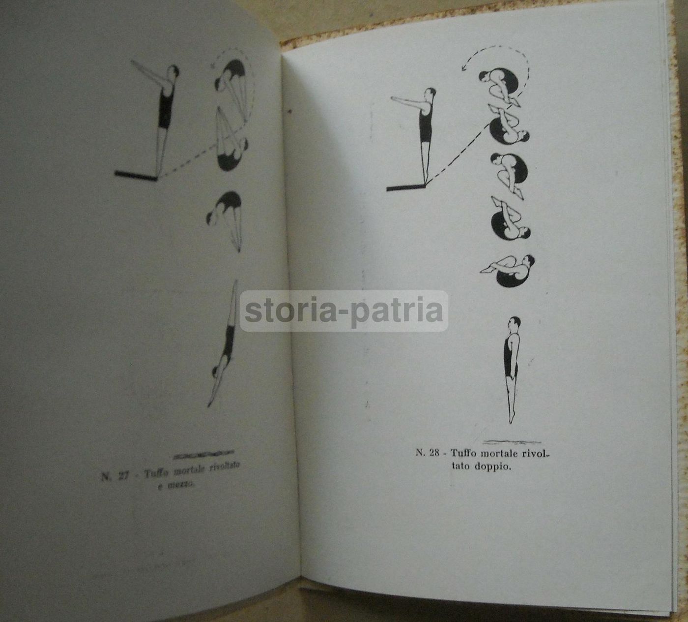 Campionati Nazionali Nuoto E Tuffi Opera Nazionale Balilla Roma 1928 Illustrato