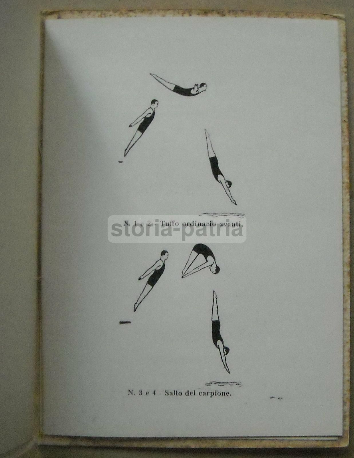 Campionati Nazionali Nuoto E Tuffi Opera Nazionale Balilla Roma 1928 Illustrato