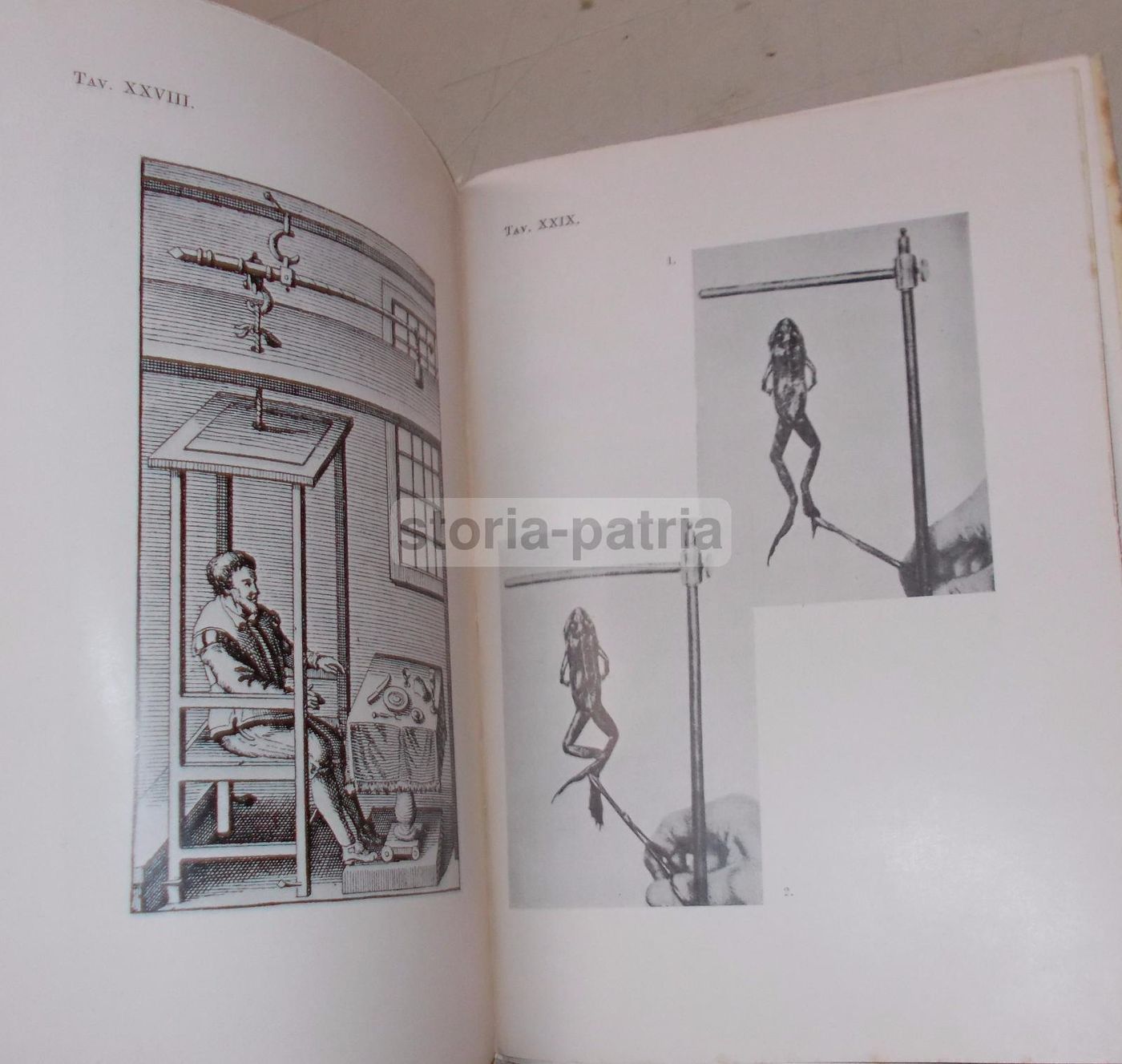 La Fisiologia Dell'Uomo   Carlo Richet   Marzocco, 1937