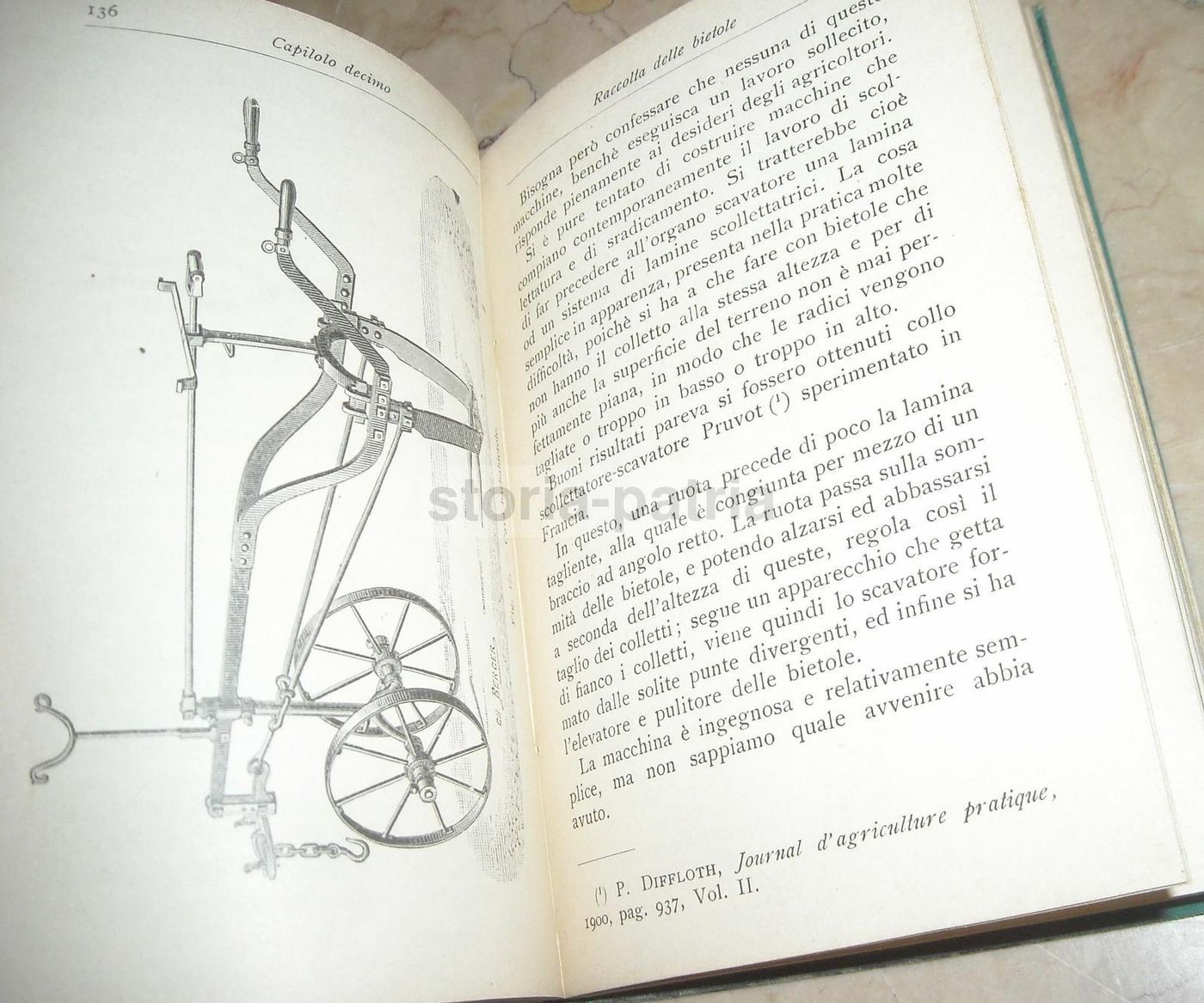 La Barbabietola Da Zucchero: A. Signa, Hoepli, 1906 (Botanica E Agraria)