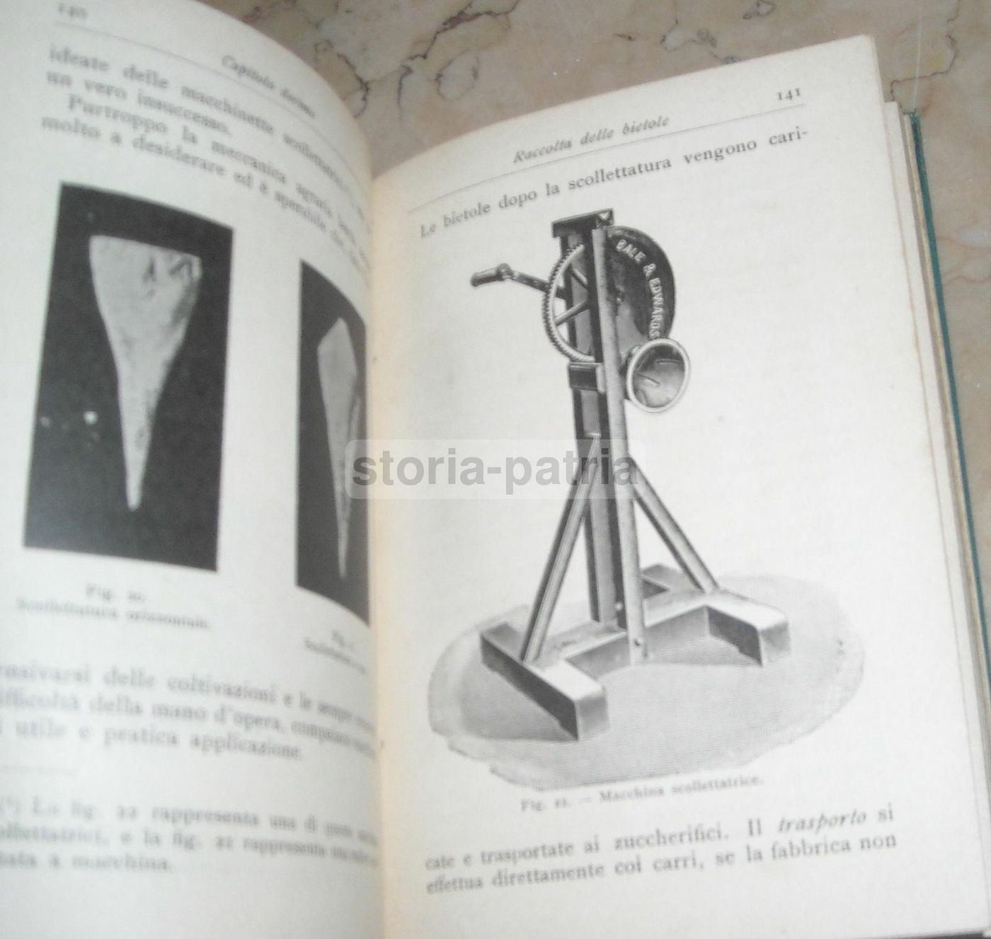La Barbabietola Da Zucchero: A. Signa, Hoepli, 1906 (Botanica E Agraria)