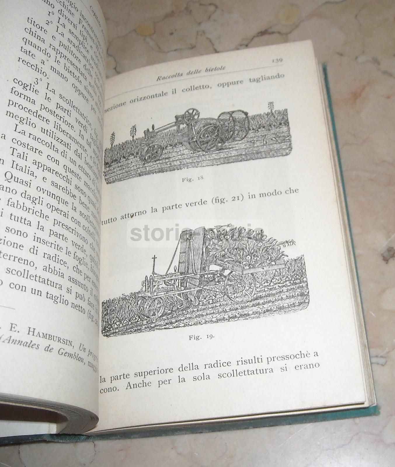 La Barbabietola Da Zucchero: A. Signa, Hoepli, 1906 (Botanica E Agraria)