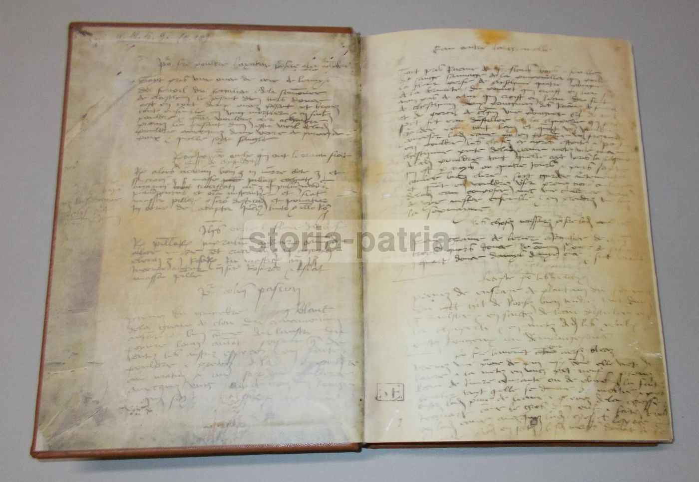 Ristampa Anastatica Grant Herbier, Codice Estense Di Modena, Edizioni Trident