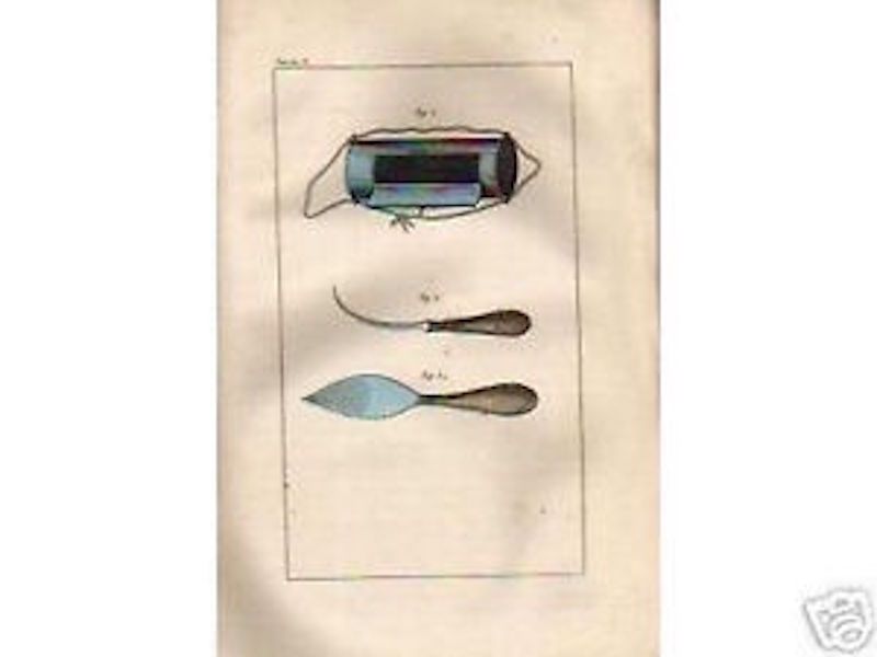 Compendio Elementare Di Storia Naturale: Botanica. Delafosse, 1862