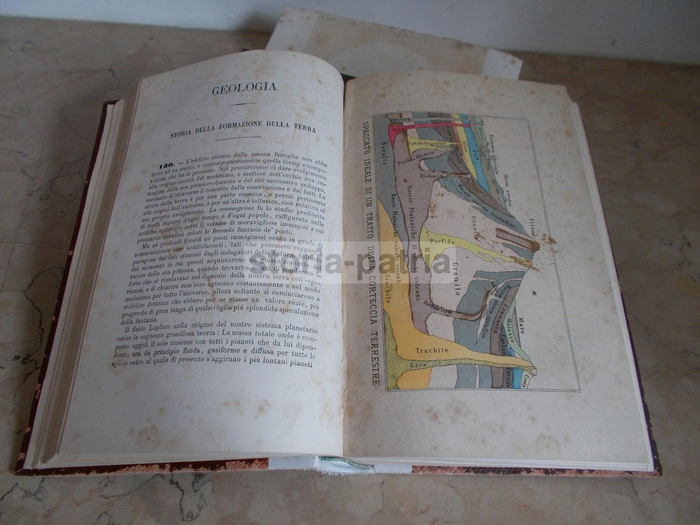 Il Libro Della Natura   Federico Schoedler (1880)