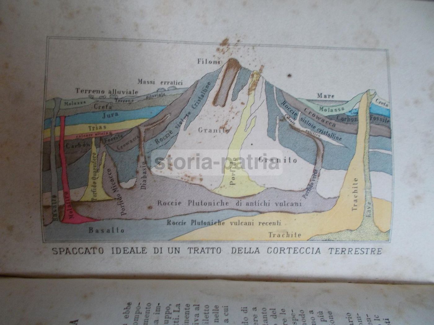 Il Libro Della Natura   Federico Schoedler (1880)